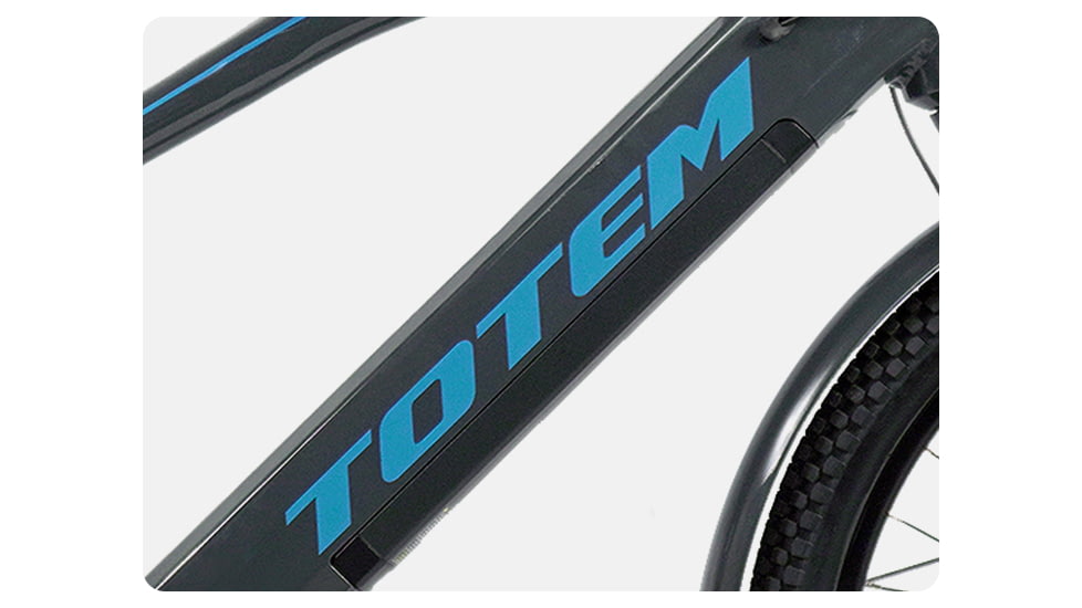 Totem Atlas Cruiser E-Bike, Black, ATLAS eCRUISER