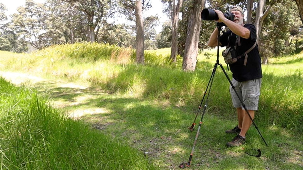 Tricer GTP-1 Tripod, Black, GTPI-Tri-1