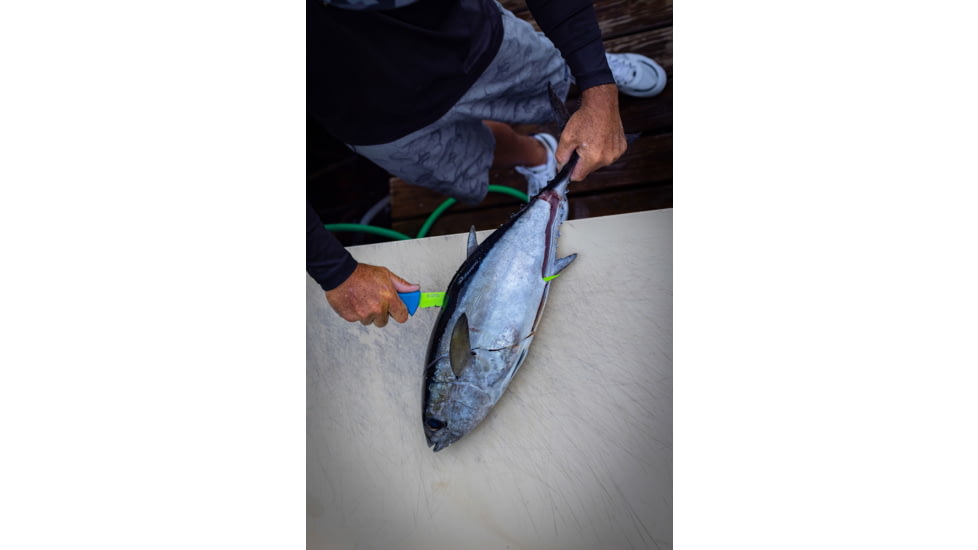 TRUE Syk 4in Trout Fillet Knife