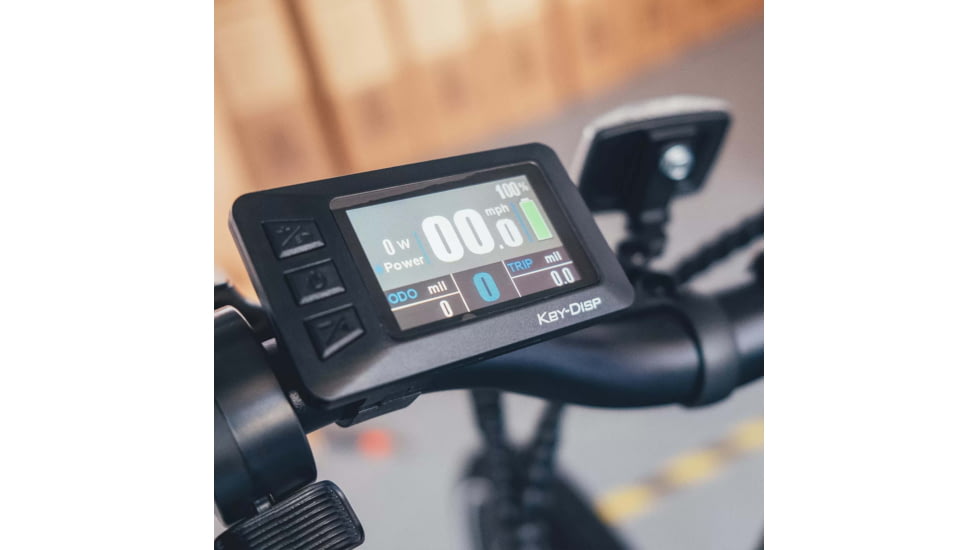 TRUSTMADE Panther X Electric Bike, Black, ABPlus100