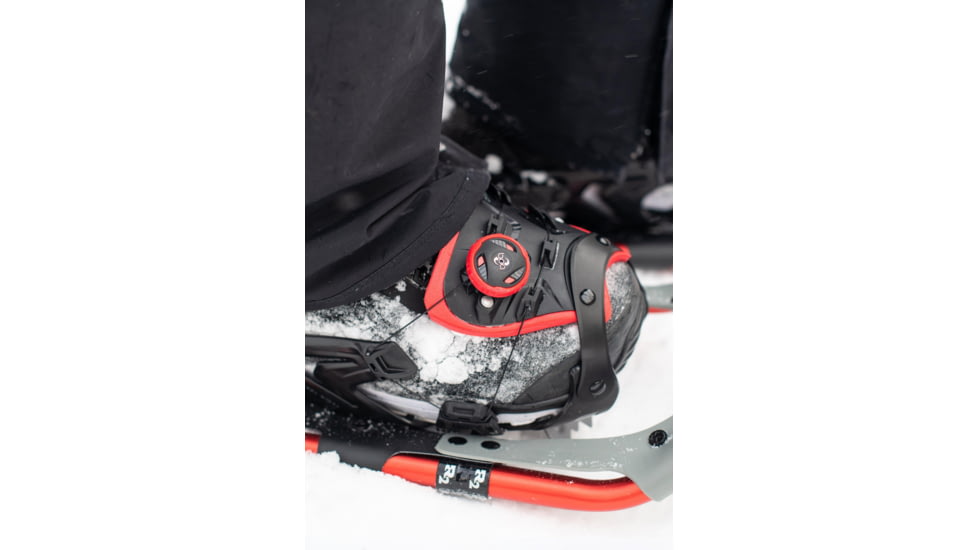 Tubbs Panoramic Snowshoes - Womens, 30, X18010150130W-30 W