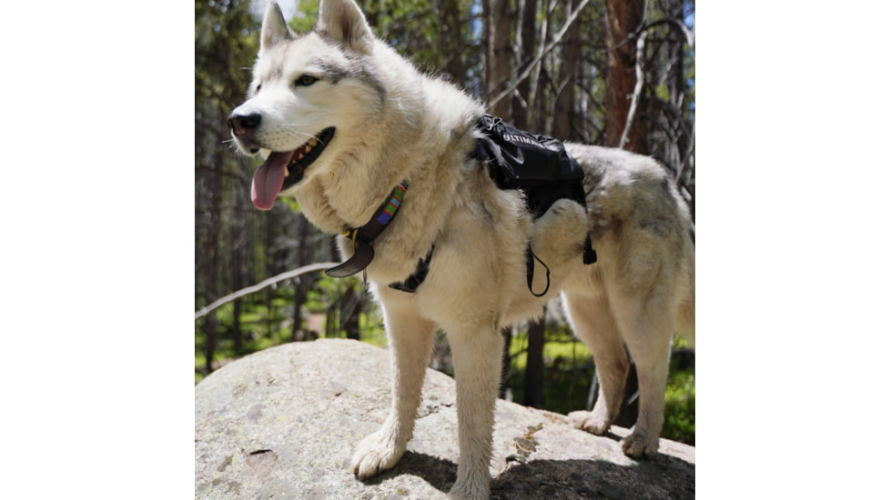 Ultimate Direction Dog Vests - Unisex, Black, Small, 80479723ONX-SM
