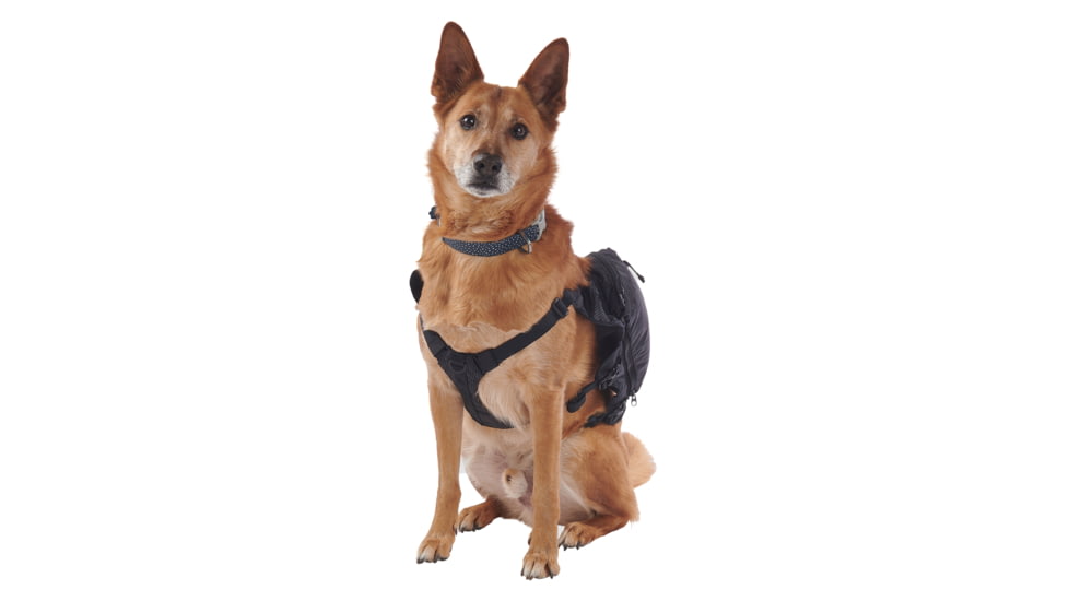 Ultimate Direction Dog Vests - Unisex, Black, Small, 80479723ONX-SM