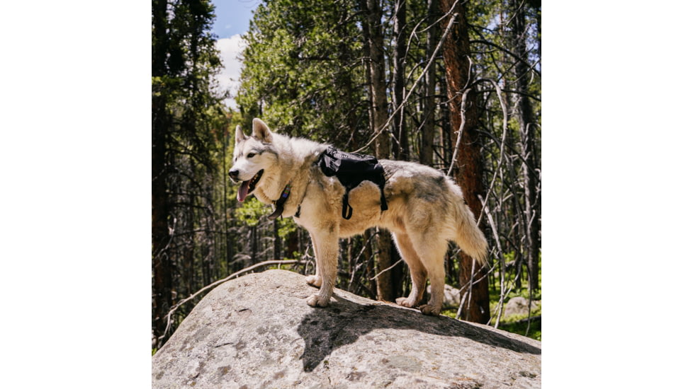 Ultimate Direction Dog Vests - Unisex, Black, Small, 80479723ONX-SM