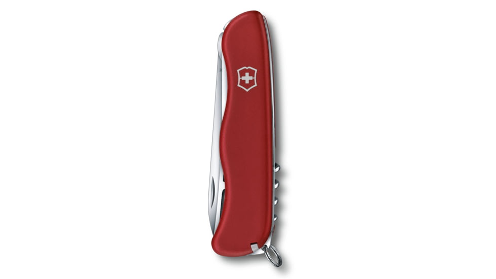 Victorinox Cheese Master Swiss Pocket Knife, Serrated, Red, 0.8313.W