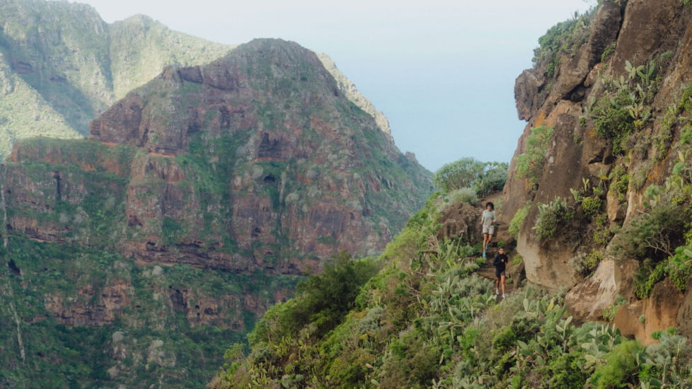 Vivobarefoot Primus Trail Knit FG Trailrunning Shoes - Womens, Peach Melba, 38 Euro, 209099-2038