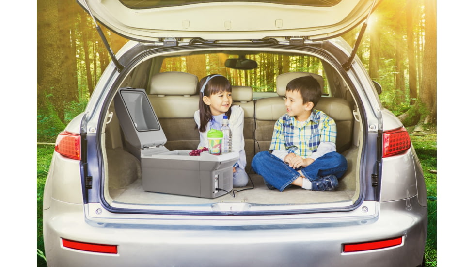 Wagan 14 Liter Personal Fridge/Warmer, Gray, One Size, EL6214