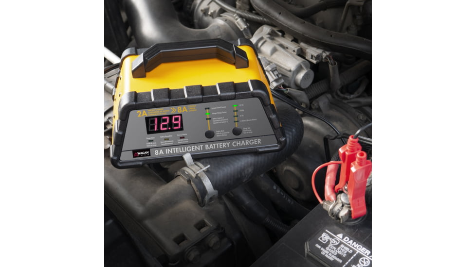 Wagan 8A Intelligent Battery Charger, Yellow, One Size, EL7406