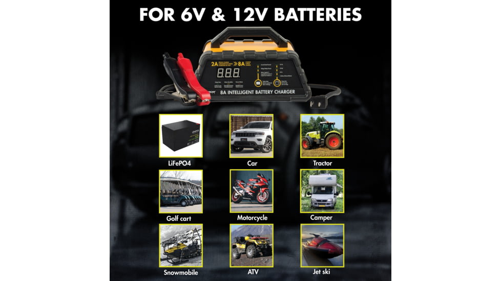 Wagan 8A Intelligent Battery Charger, Yellow, One Size, EL7406