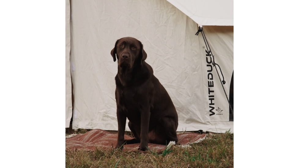 White Duck Avalon Bell Tent, Water Repellent, 13ft, WD-0020