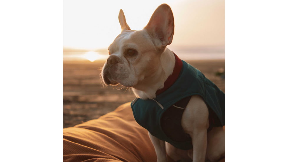 White Duck Dog Bed, Tan, 36inx27inx4in, FBA-PBT-3420