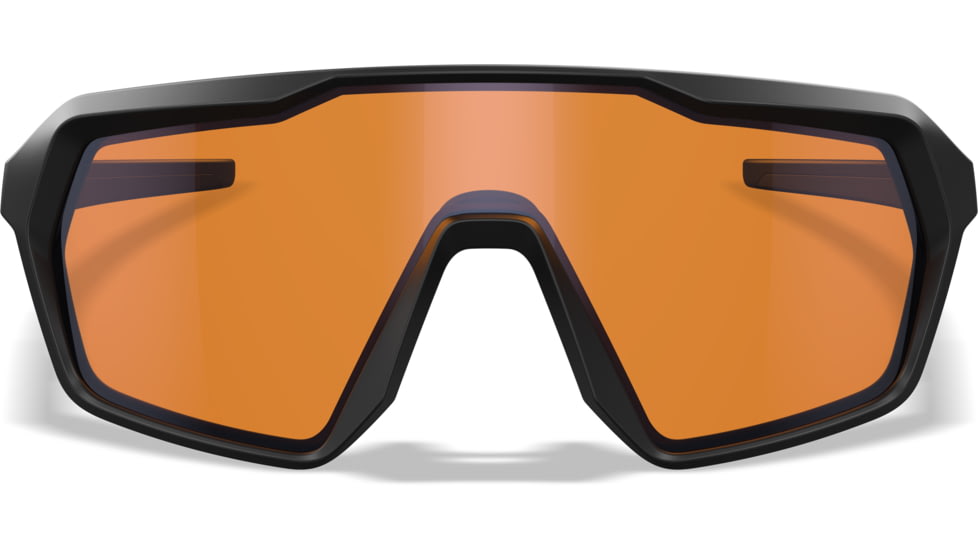 Wiley X Citadel Sunglasses