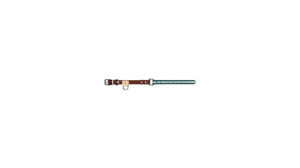 Winchester Pet King Buck O Ring High Visibility Reflective Collar, Deep Teal, M/L, KB-ORC-DT-M/L-1