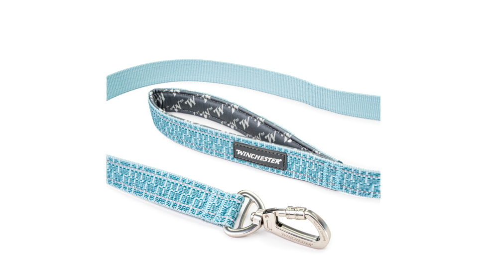 Winchester Pet Webbed Leash, Aqua Haze, 6 foot, WP-WL-AH-6-1