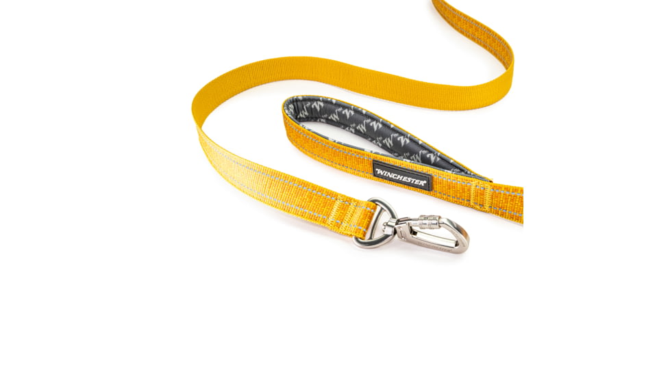 Winchester Pet Webbed Leash, Hawaiian Sunset, 6 foot, WP-WL-HS-6-1