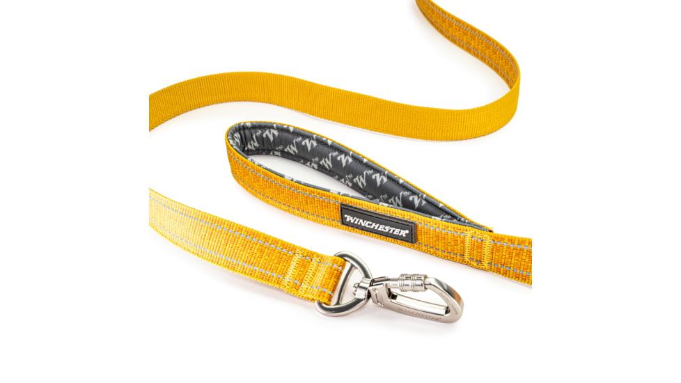 Winchester Pet Webbed Leash, Hawaiian Sunset, 6 foot, WP-WL-HS-6-1