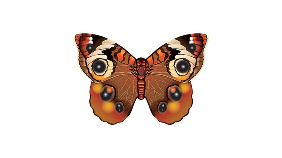 WindNSun Microbutterfly - Buckeye 70152