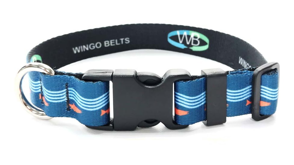 Wingo Outdoors Dog Collar, Kenai, Small/Medium, W-COL-108-SMD