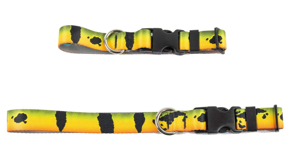 Wingo Outdoors Dog Collars, Peacock Bass, Small/Medium, W-COL-121-SMD