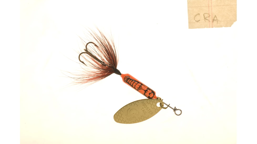 Wordens Rooster Tail In-Line Spinner, 2in, 1/16 oz Treble Hook, Crawdad, 206-CRA
