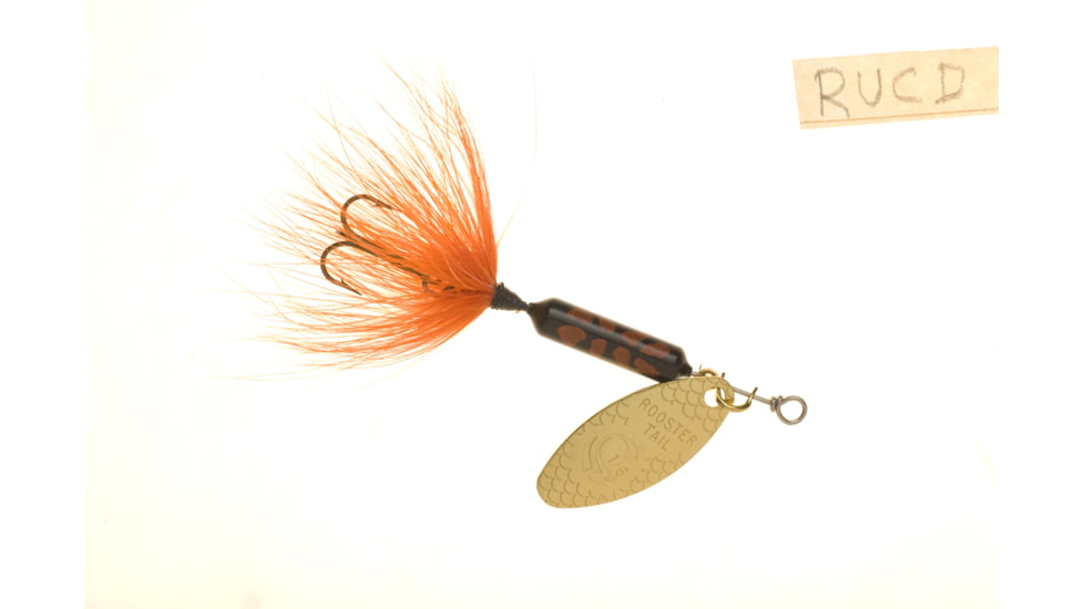 Wordens Rooster Tail In-Line Spinner, 2in, 1/16 oz Treble Hook, Rusty Coachdog, 206-RUCD