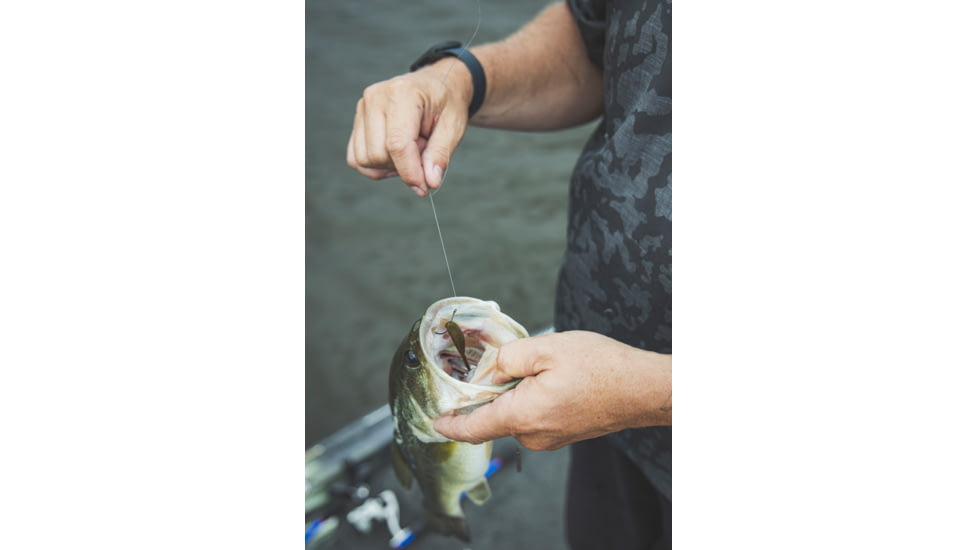 Yamamoto Baits 3in Shad Shape Worm, 10 pack, Green Pumpkin-Black, YAM-68JR-10-297