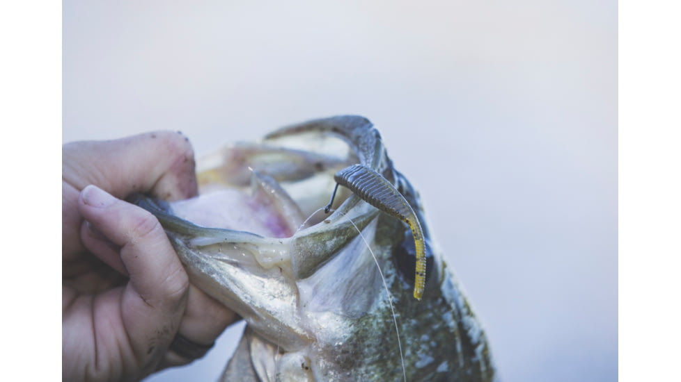 Yamamoto Baits 3in Shad Shape Worm, 10 pack, Green Pumpkin-Black, YAM-68JR-10-297