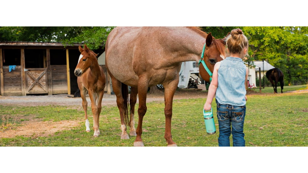 Yeti Rambler Jr. 12 oz Bottle, Seafoam, 21071504061
