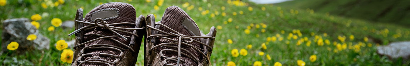 Step into Summer