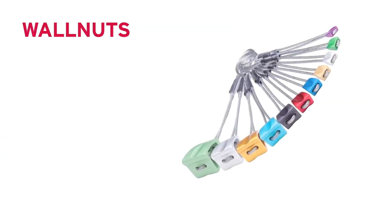 opplanet dmm wallnuts video