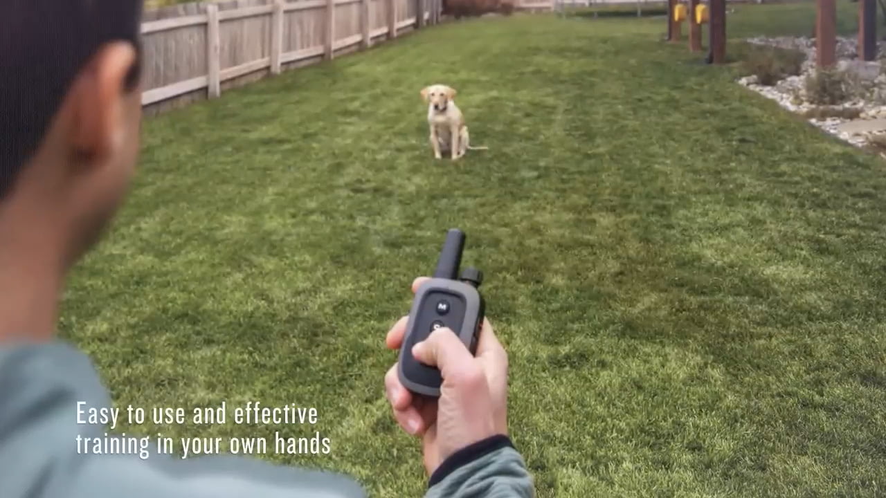 opplanet garmin delta se dog training system video