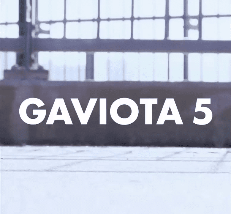 opplanet hoka gaviota 5 video