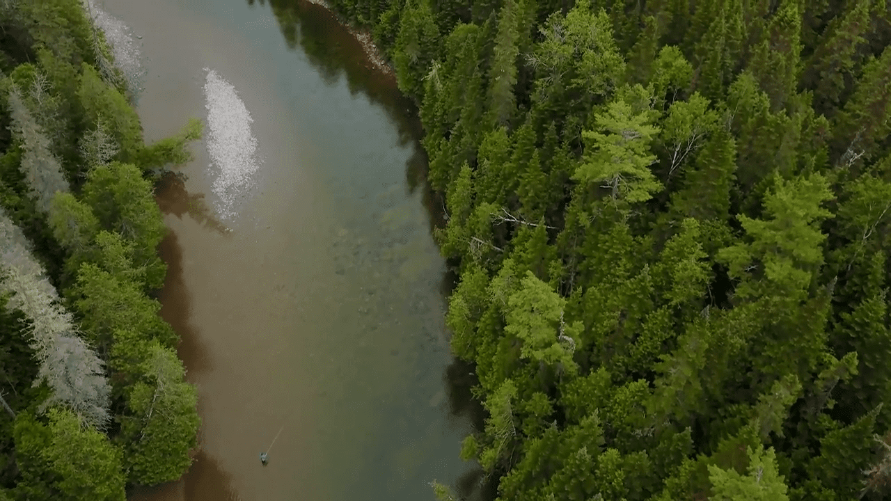 opplanet nemo equipment switch tent video