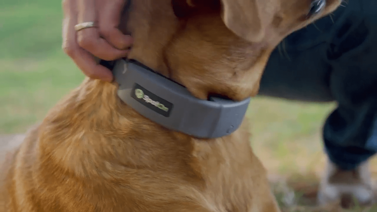 opplanet spoton gen 2 gps dog fence collar video