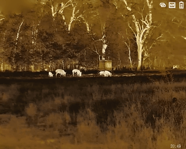 opplanet timnblt5 video