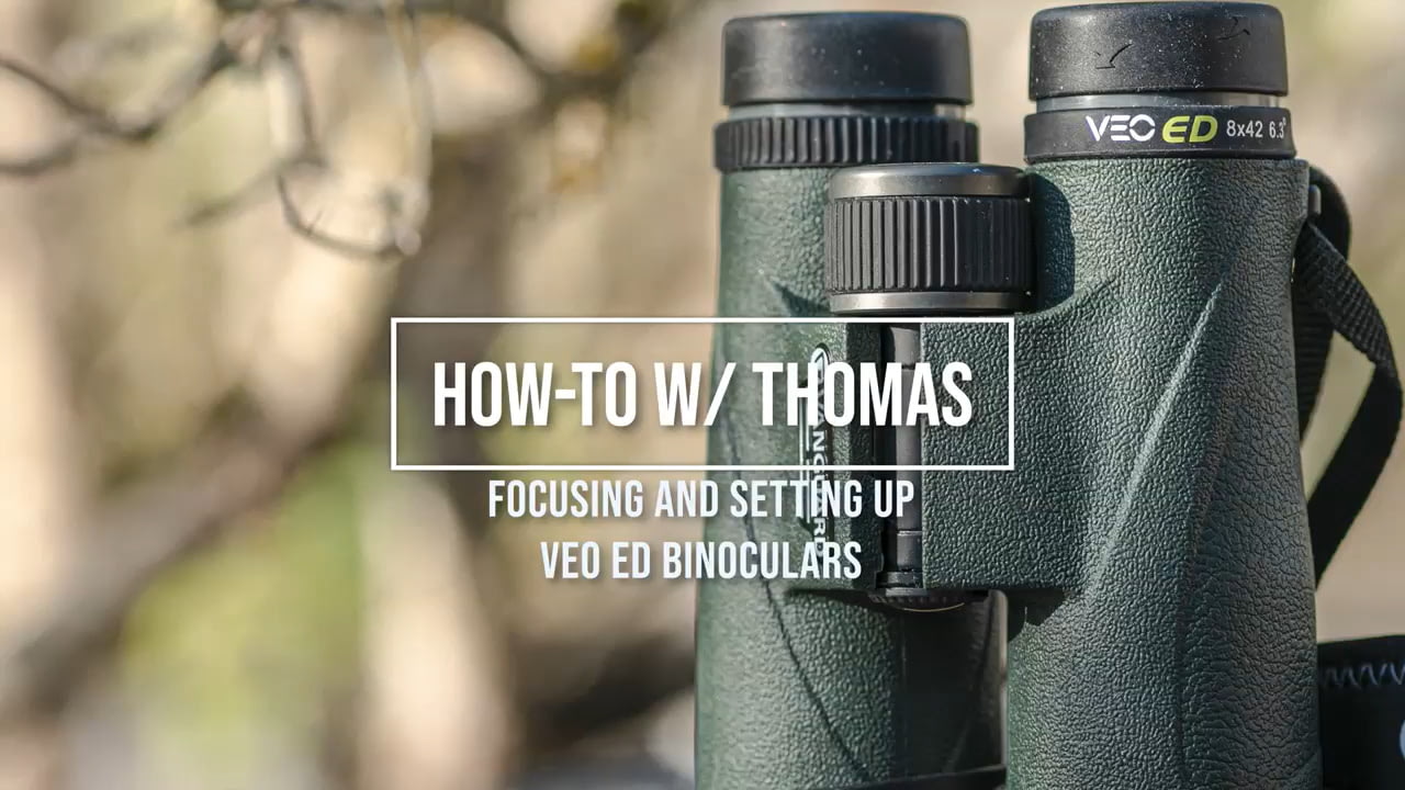 opplanet vanguard how to w thomas adjusting and focusing veo ed binoculars video