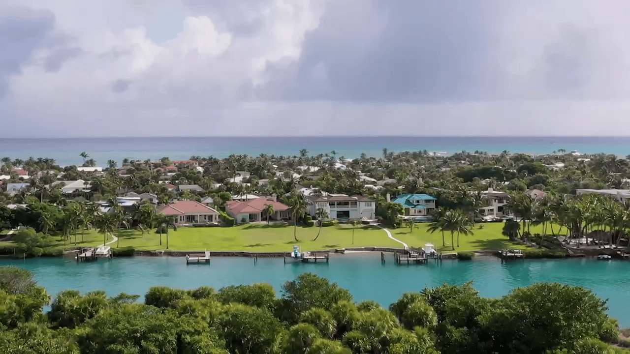 opplanet yo zuri 3d inshore topknock pencil and pencil popper new colors video