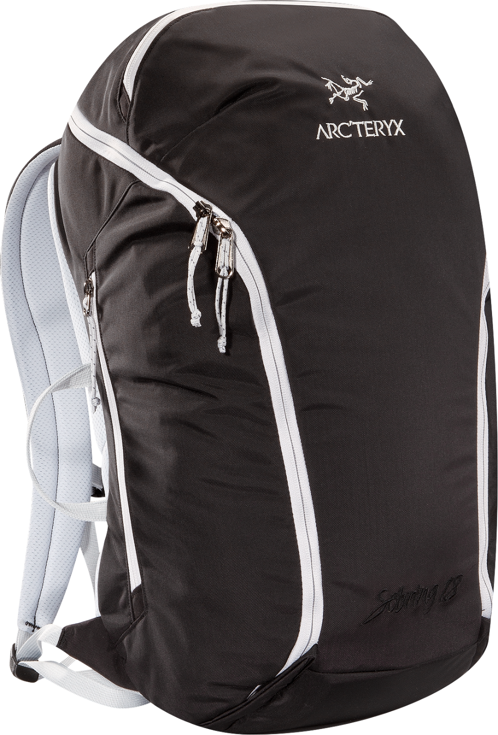 BEAMS40周年  ARC’TERYX  Sebring  bag  pack ARC'TERYX x BEAMS] 40th Anniversary SEBRING Backpack Black and