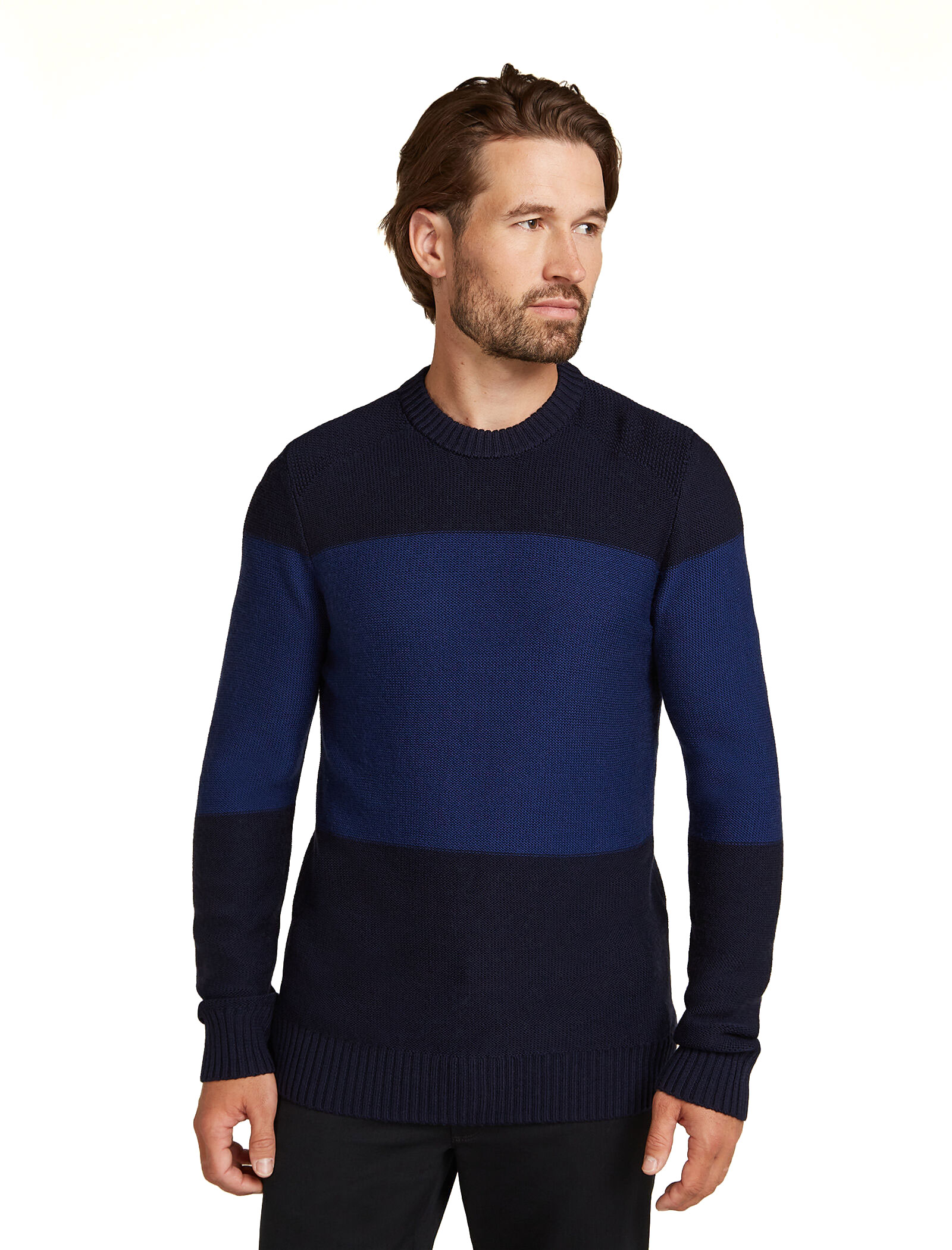 Icebreaker Men Waypoint Crewe Sweater — CampSaver