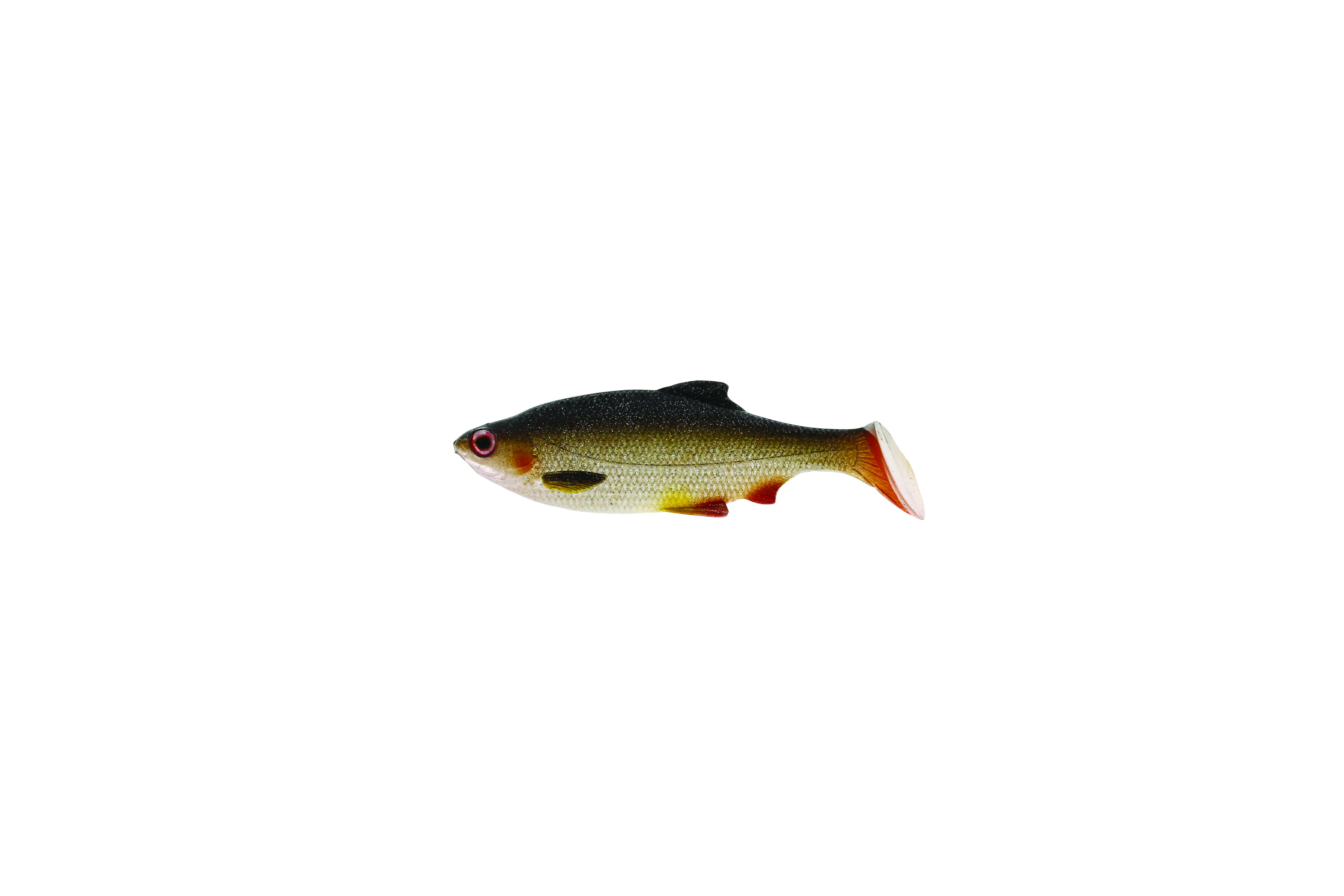 Westin Ricky the Roach Soft Shad Tail Swimbaits  CampSaver