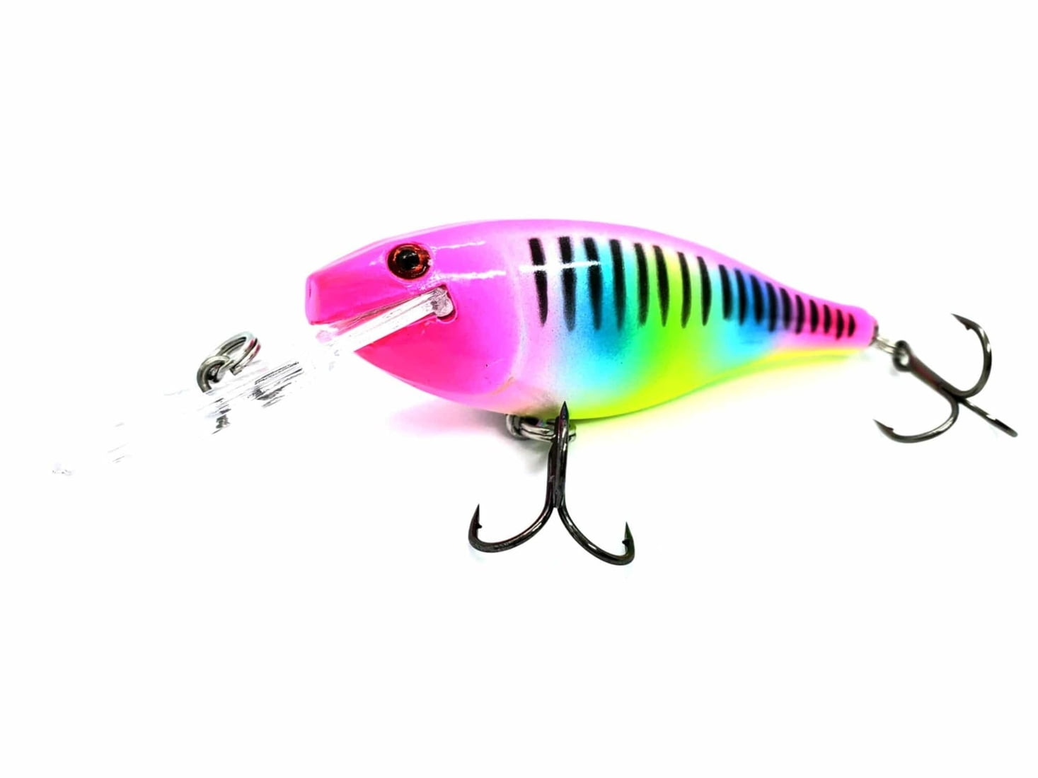 Larry Nixon Signature Bomber Model A Diving Crankbait Fishing Lure